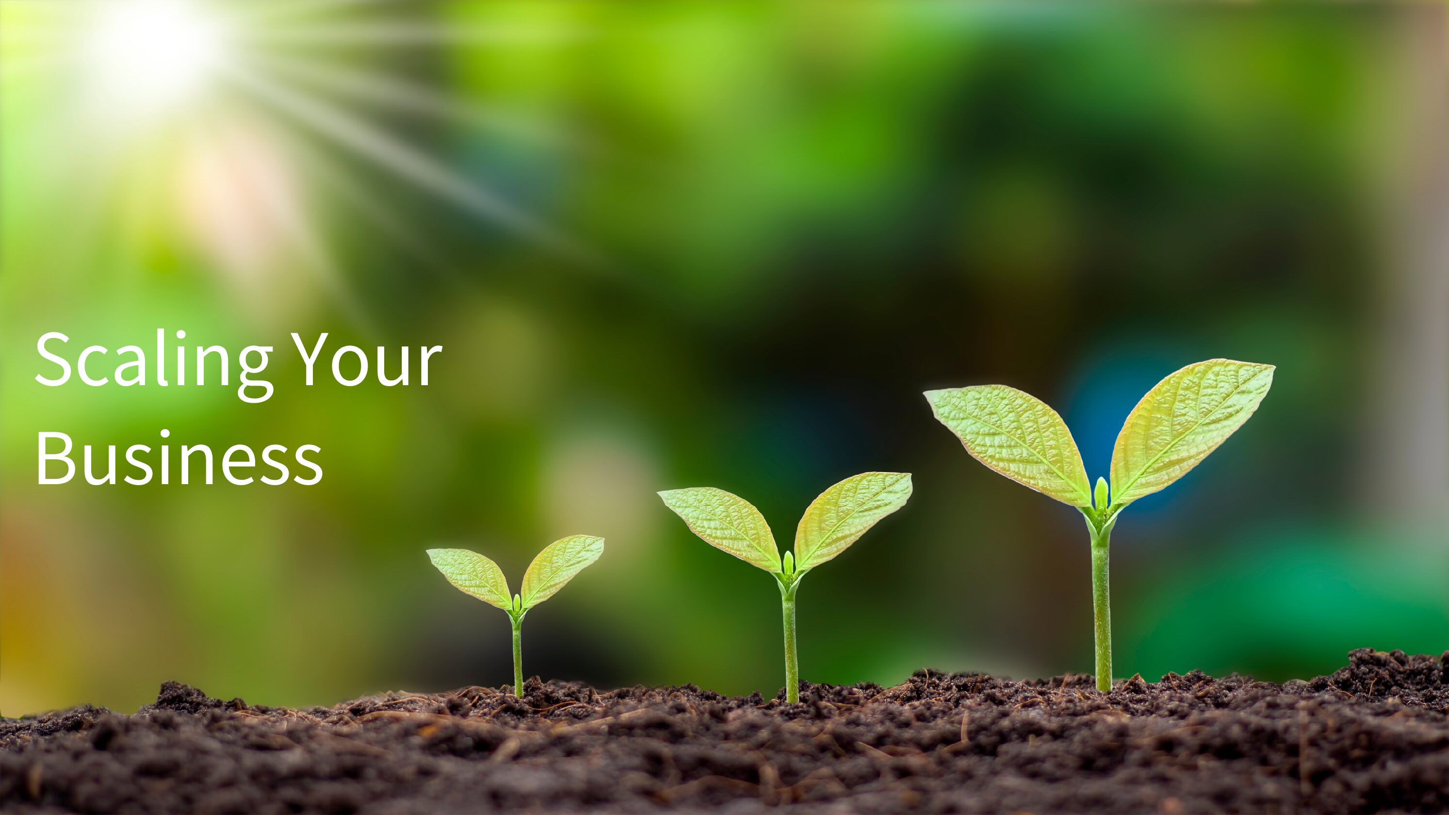 Scaling Your Business